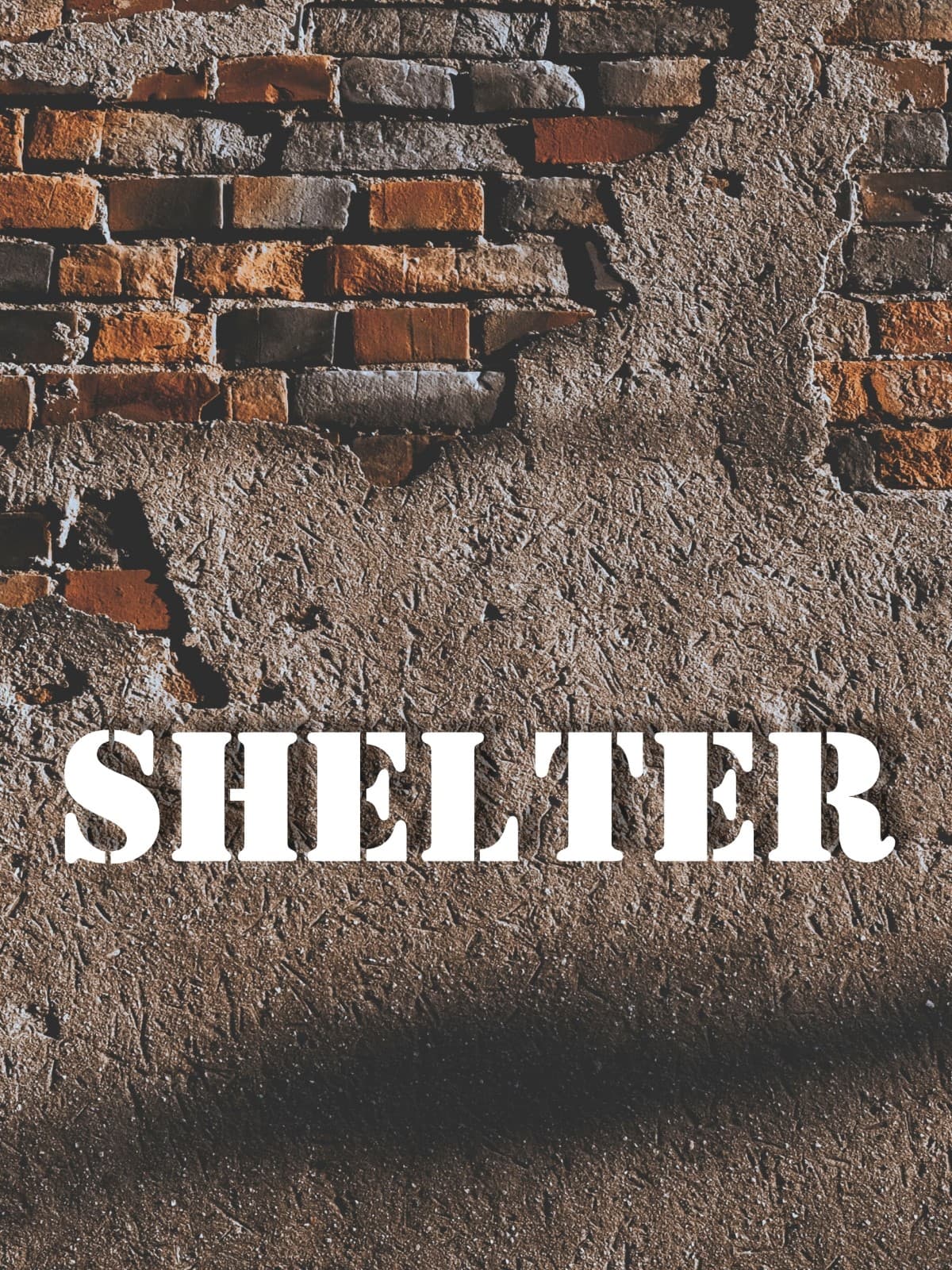 Shelter