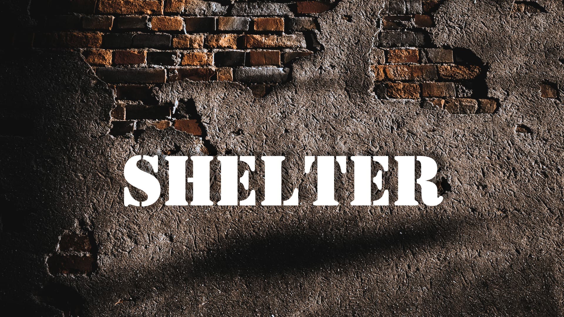 Shelter