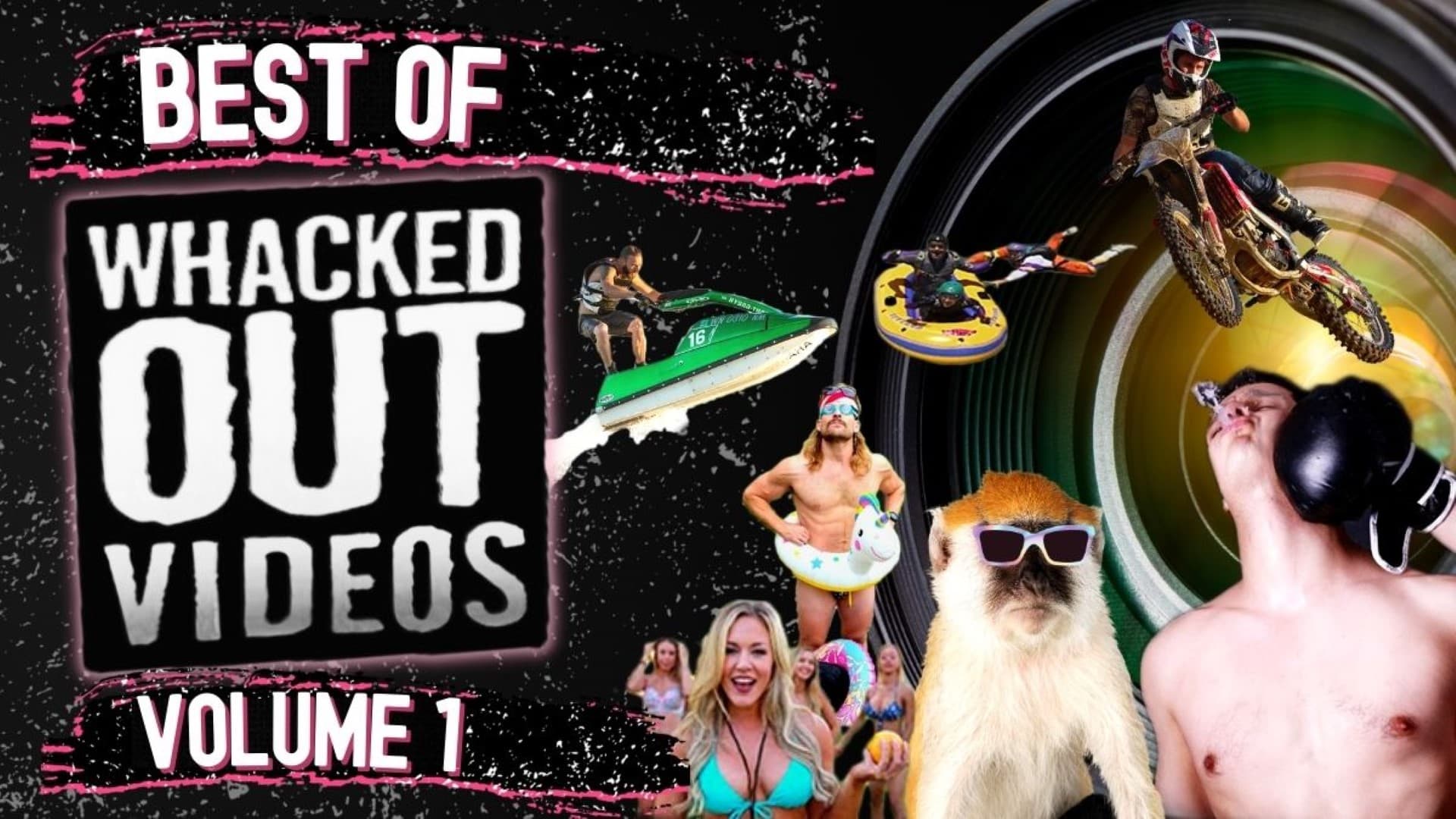 Best Of Whacked Out Videos Vol 1