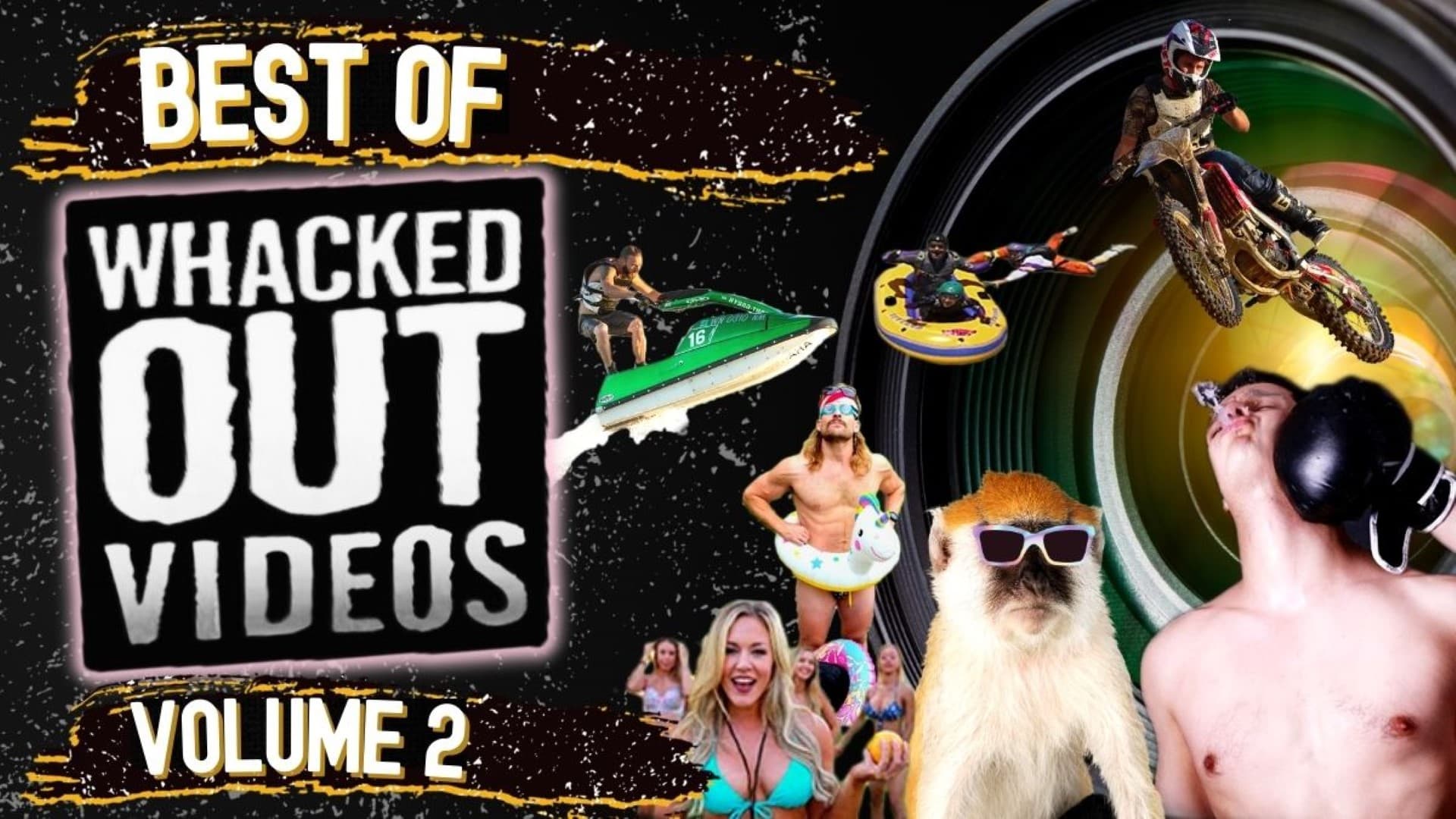 Best Of Whacked Out Videos Vol 2