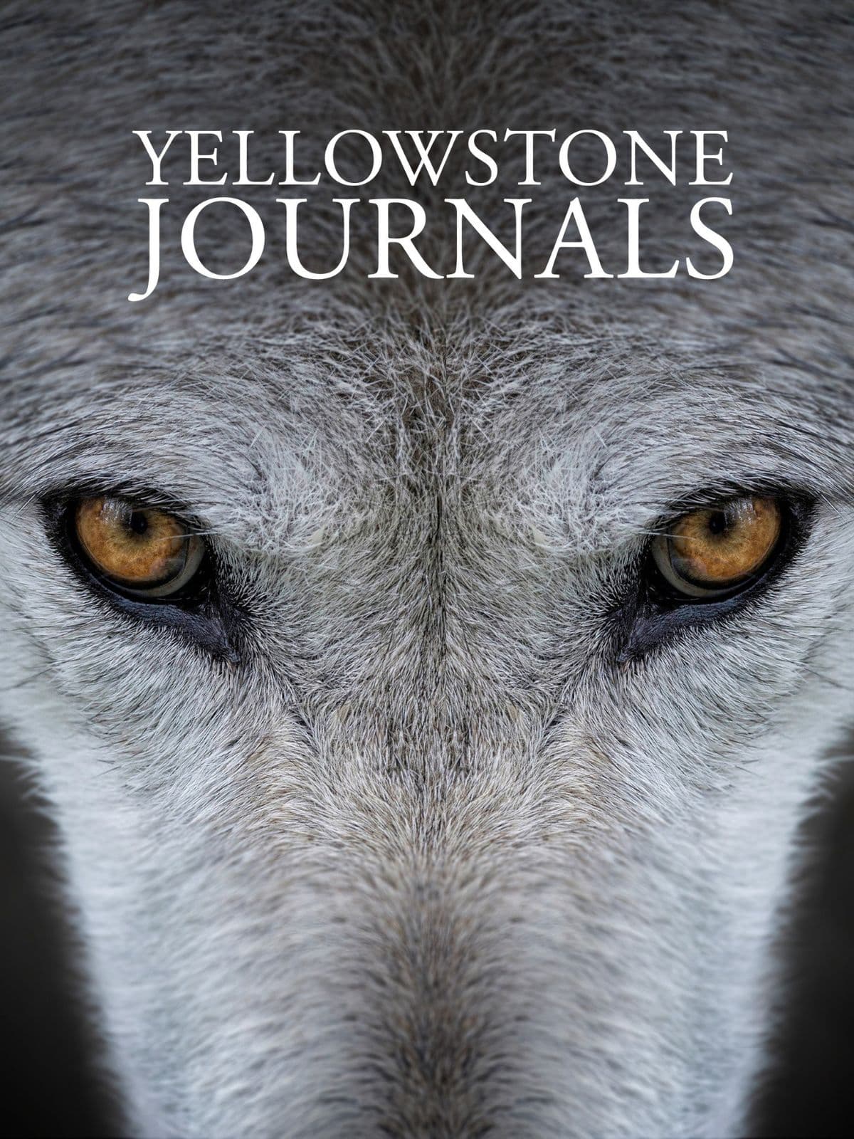 Yellowstone Journals