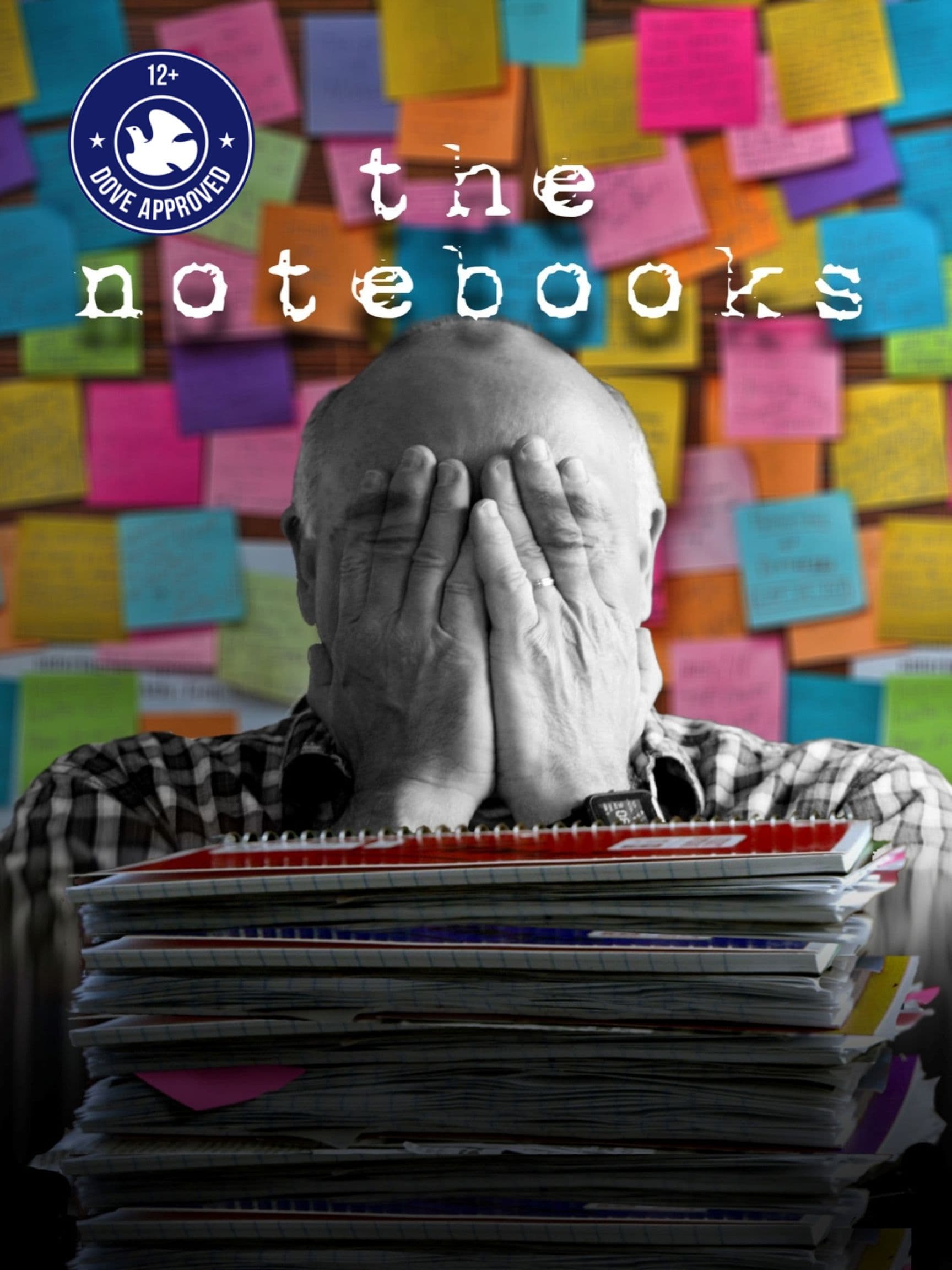 The Notebooks