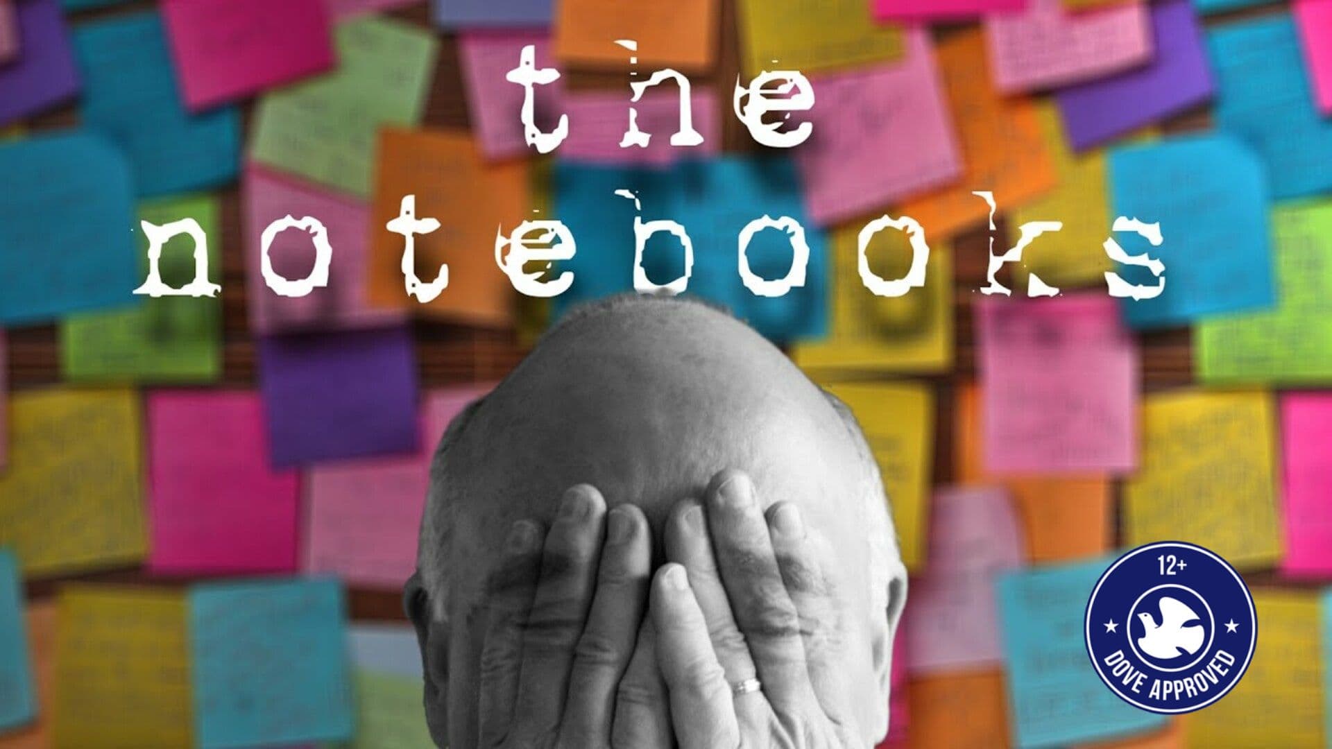 The Notebooks