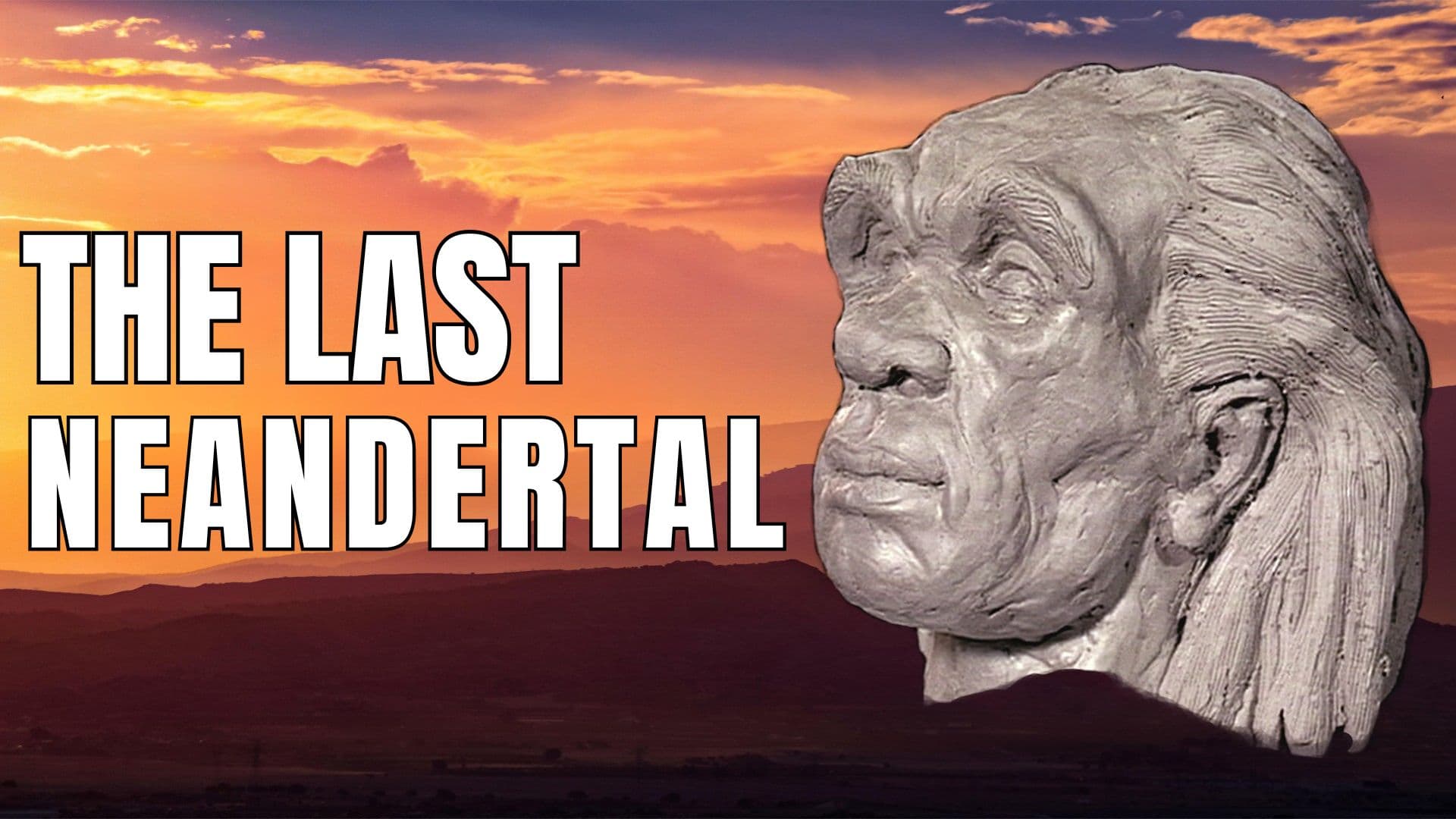 The Last Neandertal