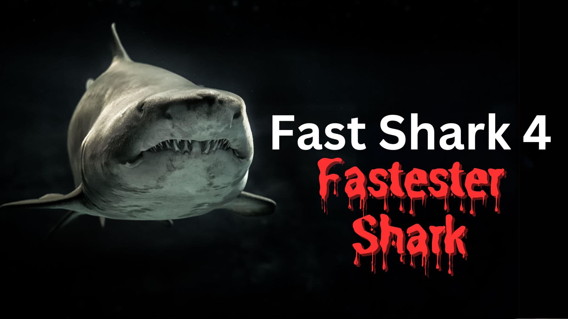 Fast Shark 4: Fastester Shark