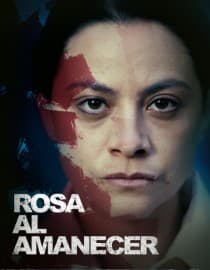 Rosa al Amanecer