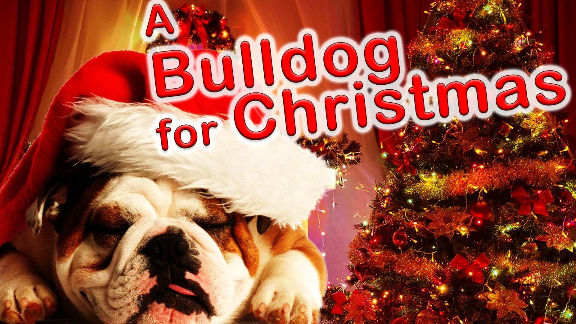 A Bulldog for Christmas