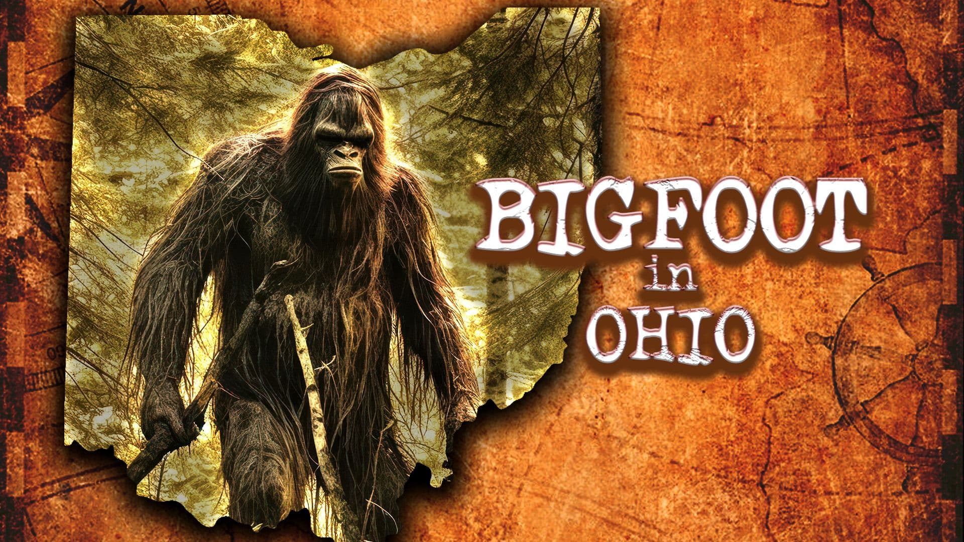 Bigfoot In Ohio