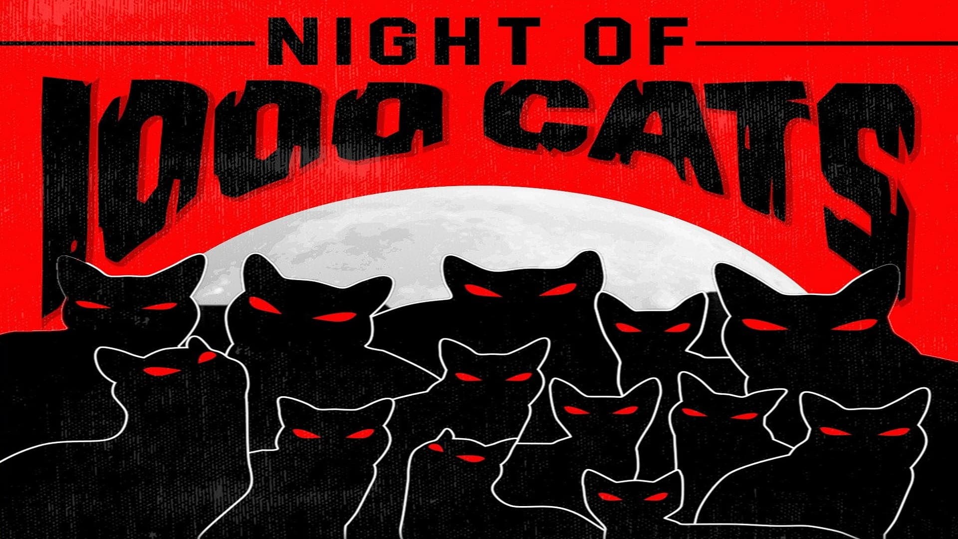 Night of A 1000 Cats