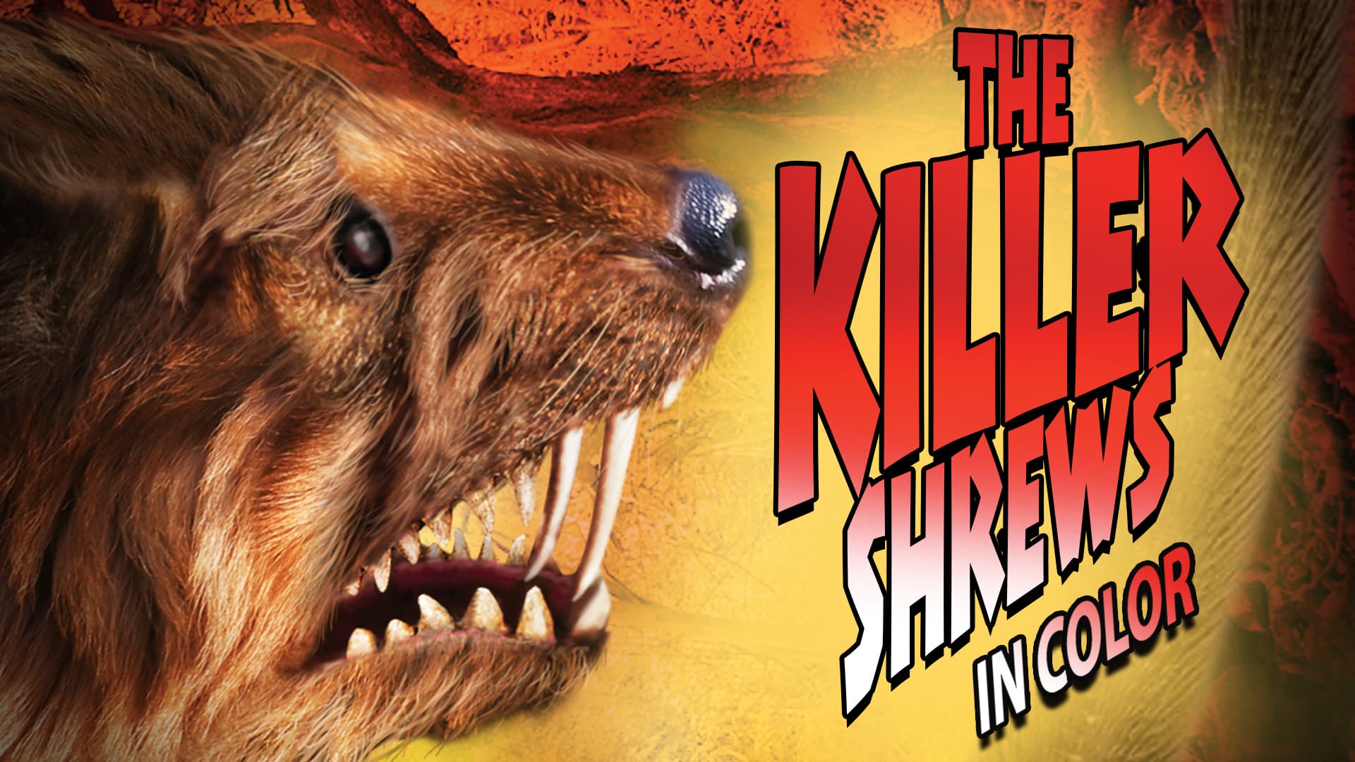 Killer Shrews