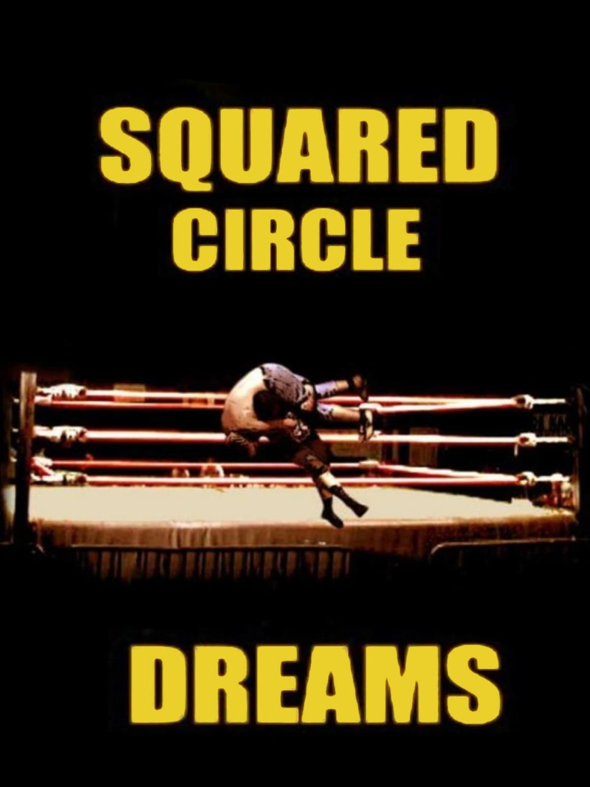 Squared Circle Dreams