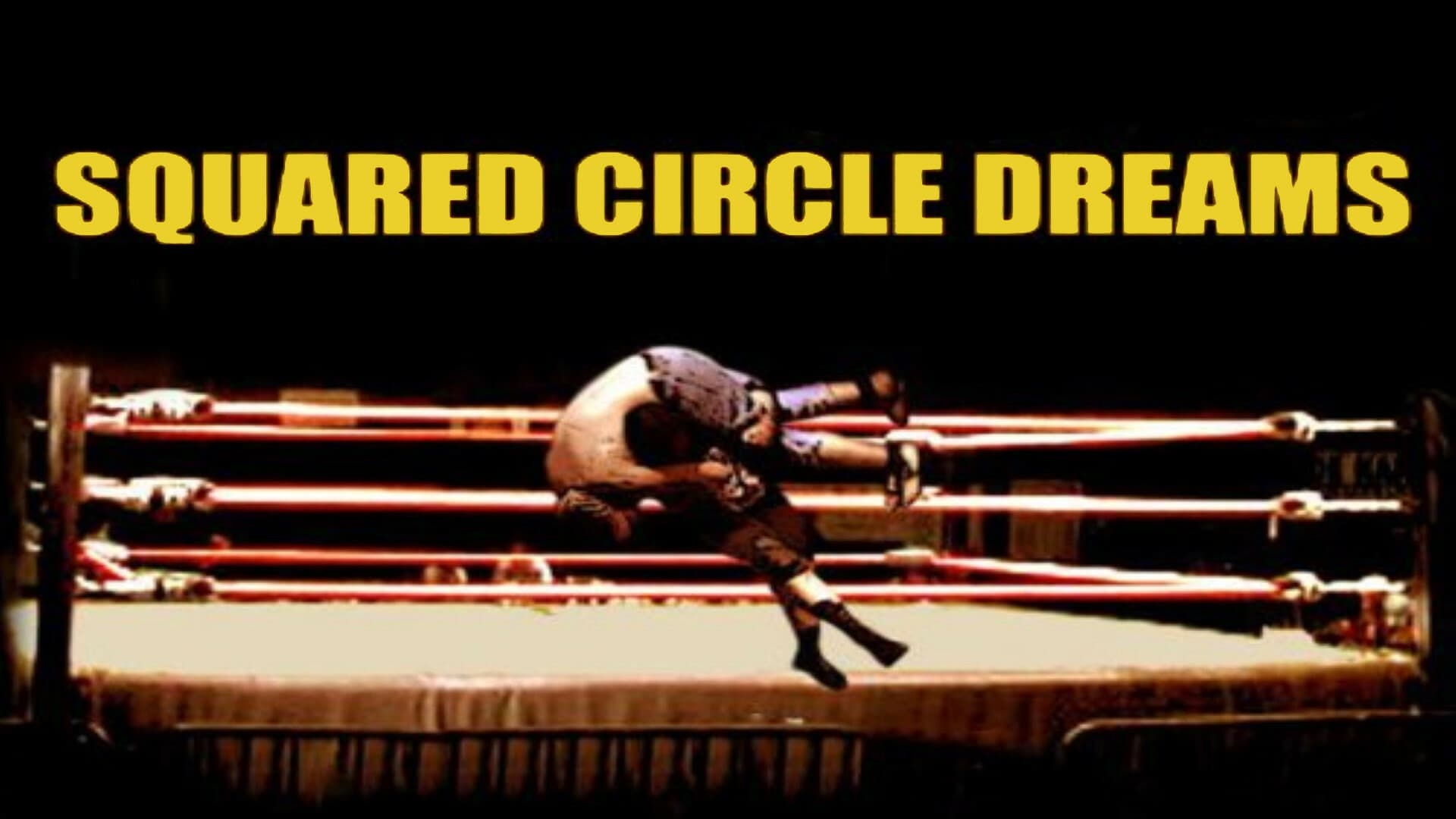 Squared Circle Dreams