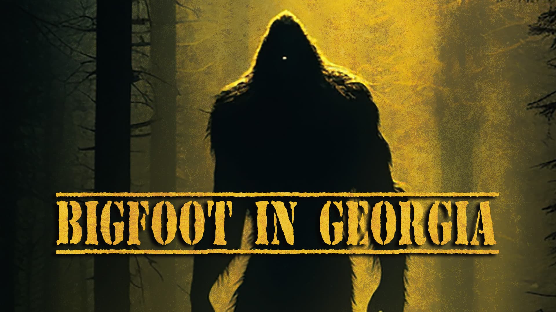 Bigfoot In Georgia