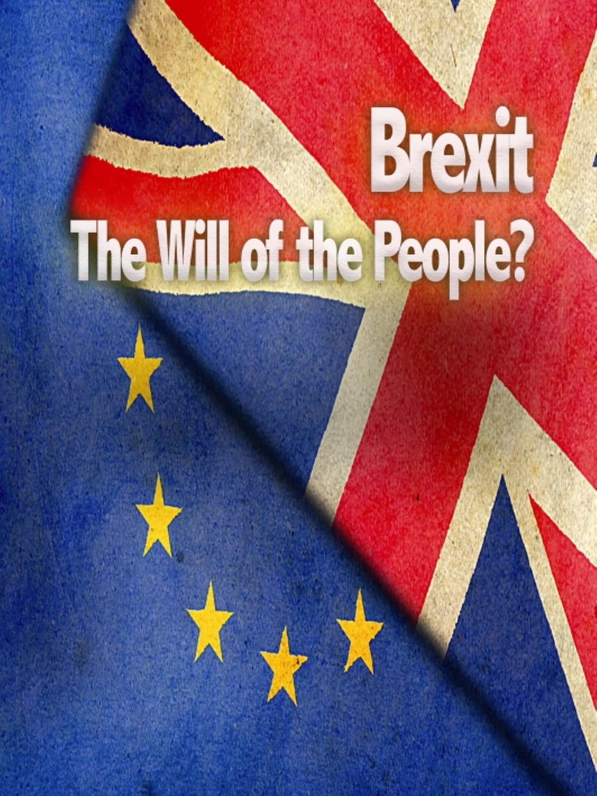 Brexit: The Will of the People