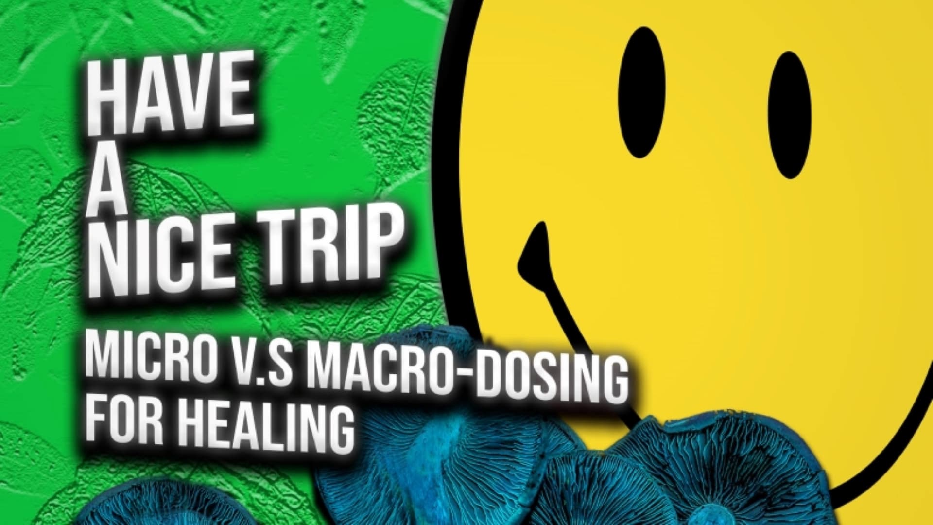 Have A Nice Trip: Micro vs Macro Dosing For Healing