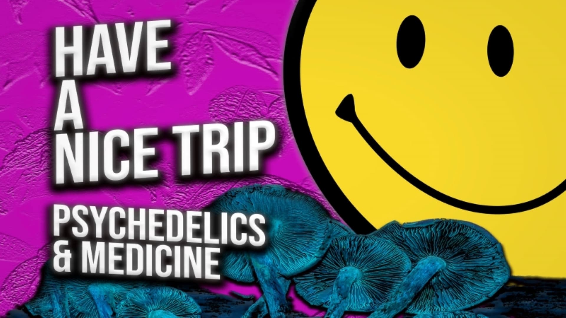 Have A Nice Trip: Psychedelics and Medicine