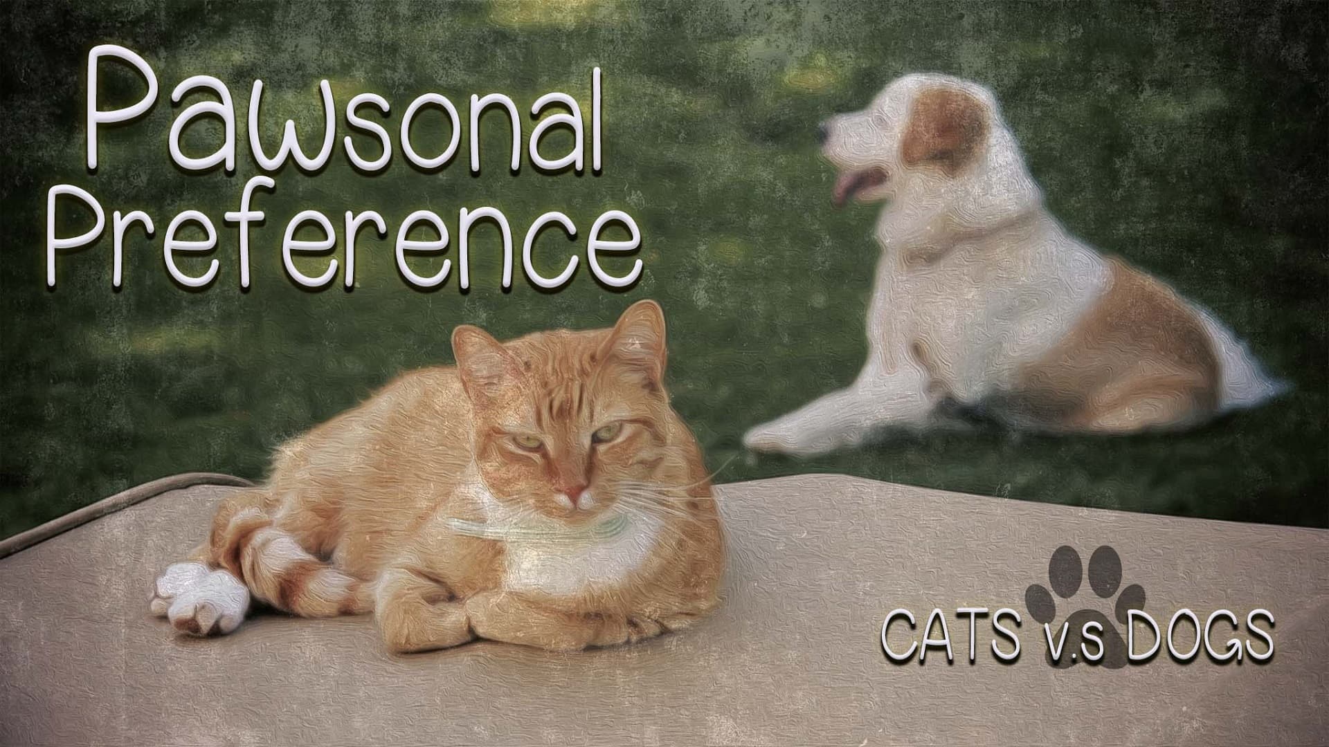 PAWsonal Preference