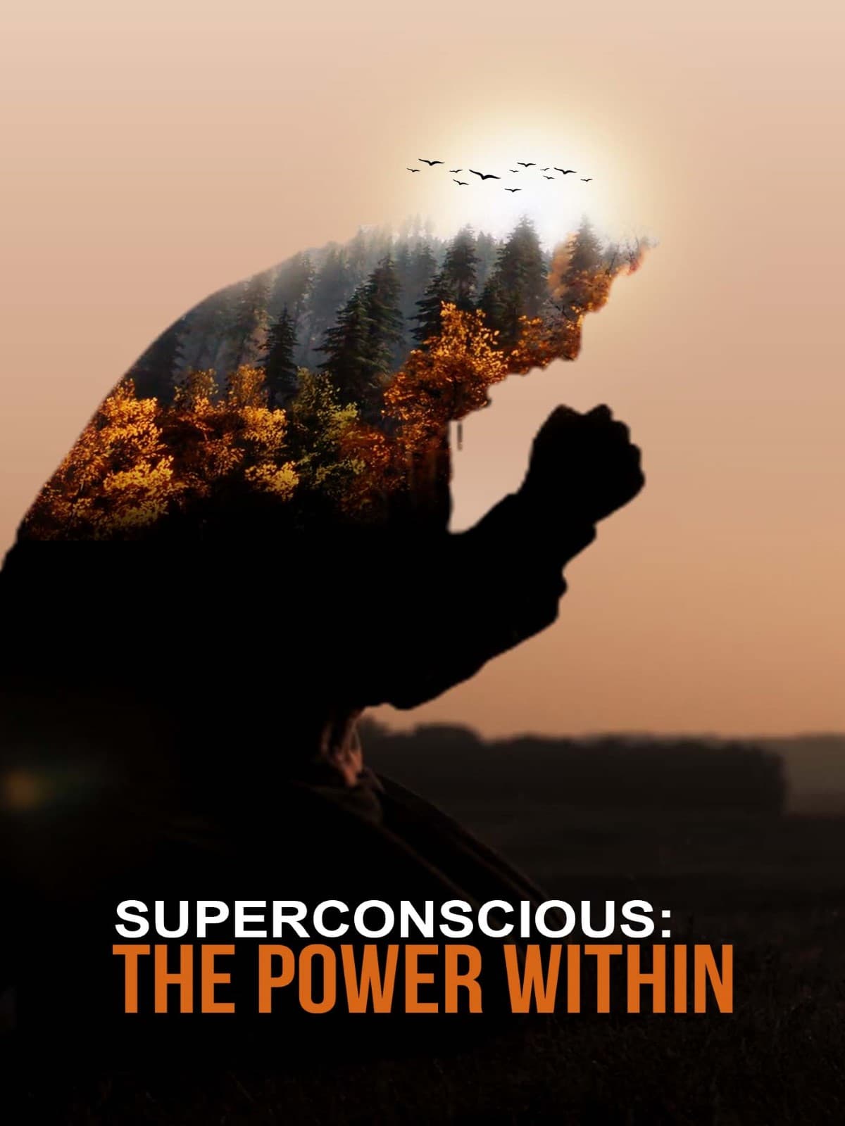 Superconscious: The Power Within