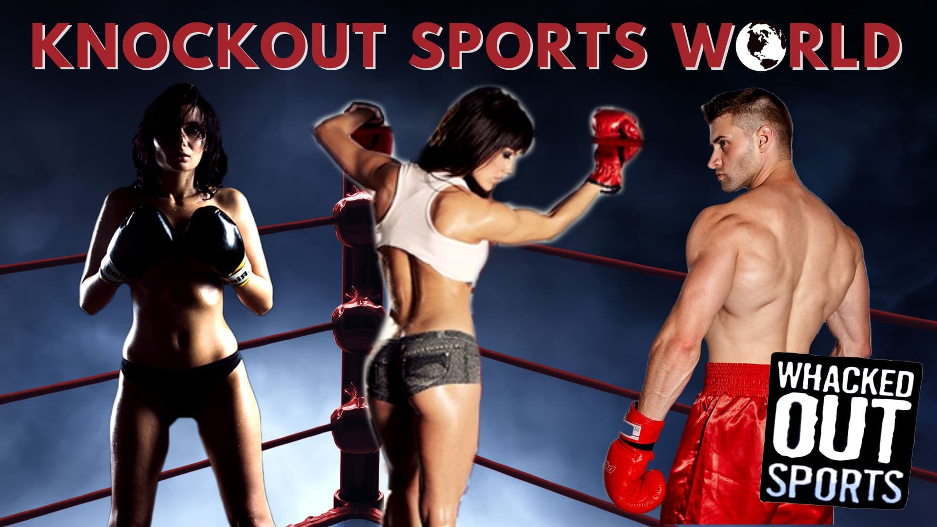 Knockout Sportsworld