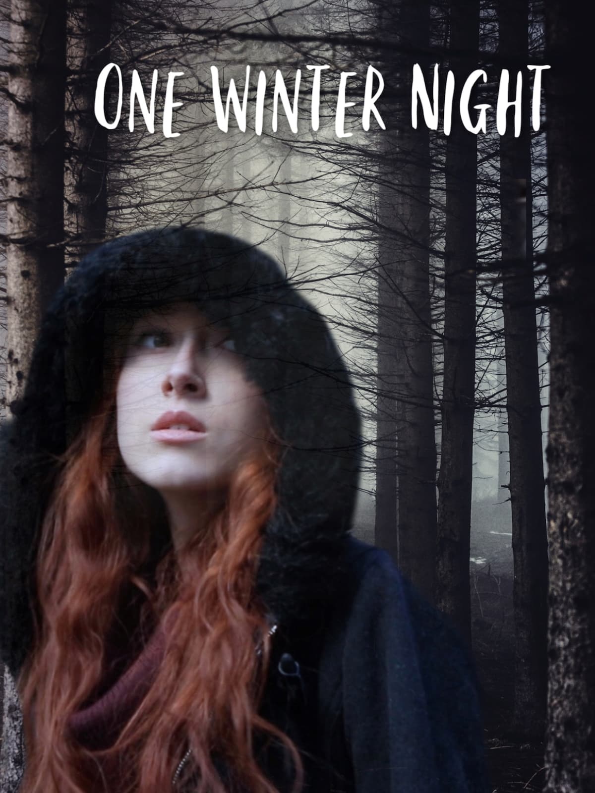 One Winter Night