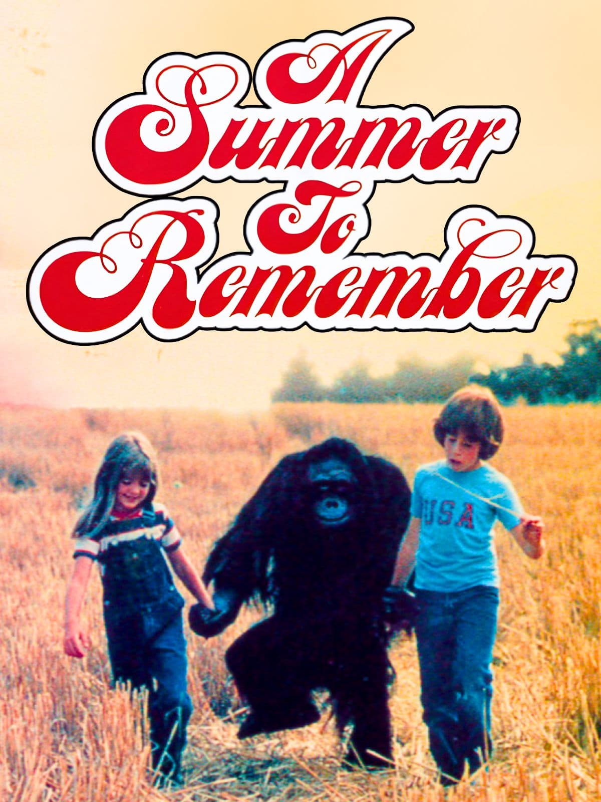 A Summer to Remember