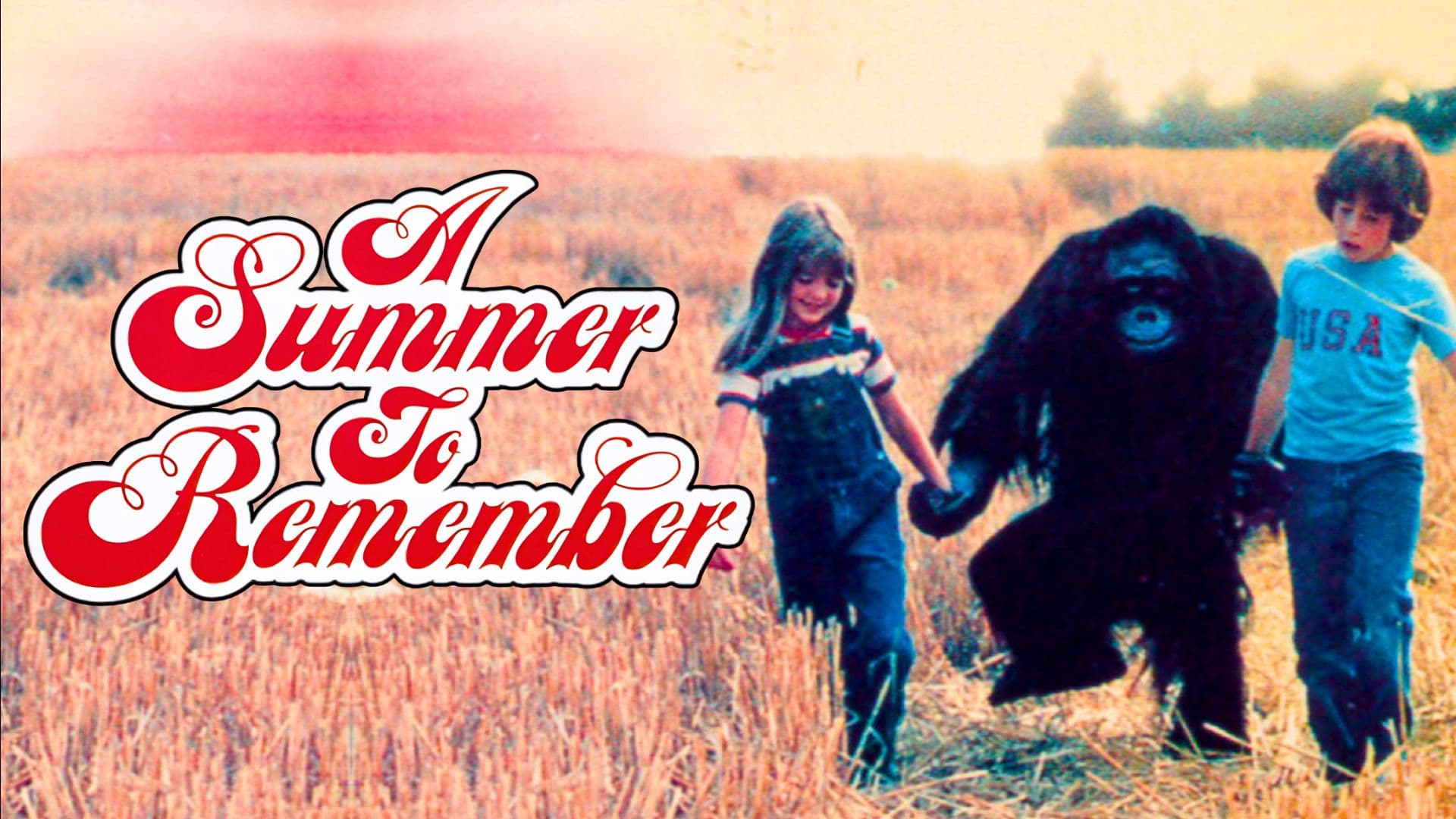 A Summer to Remember