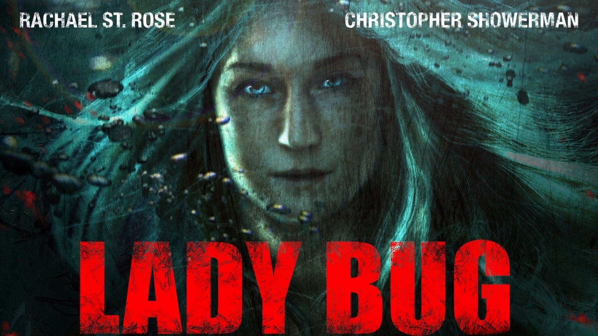 Lady Bug