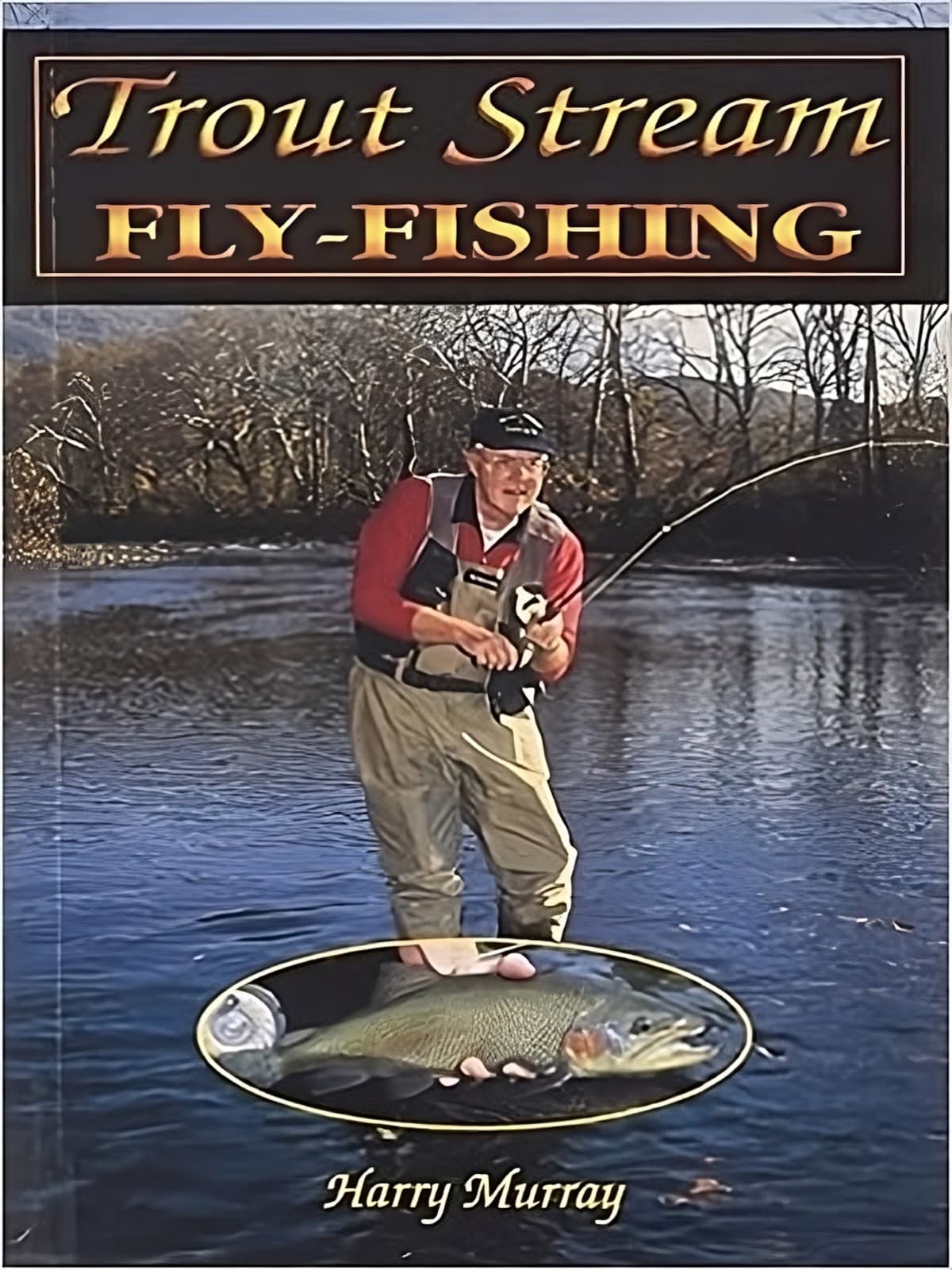 Trout Stream Fly Fishing