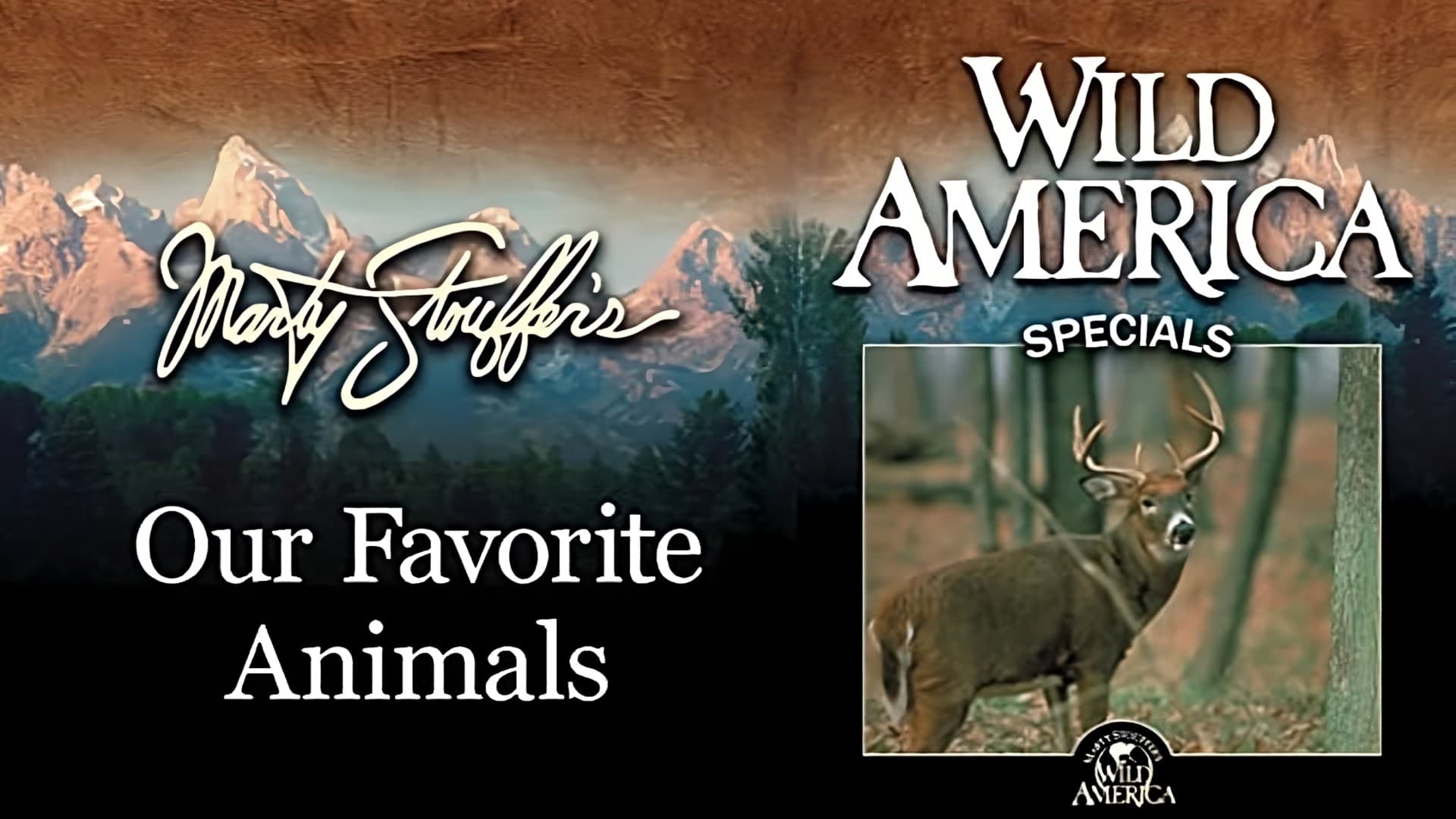 Wild America Special-Our Favorite Animals