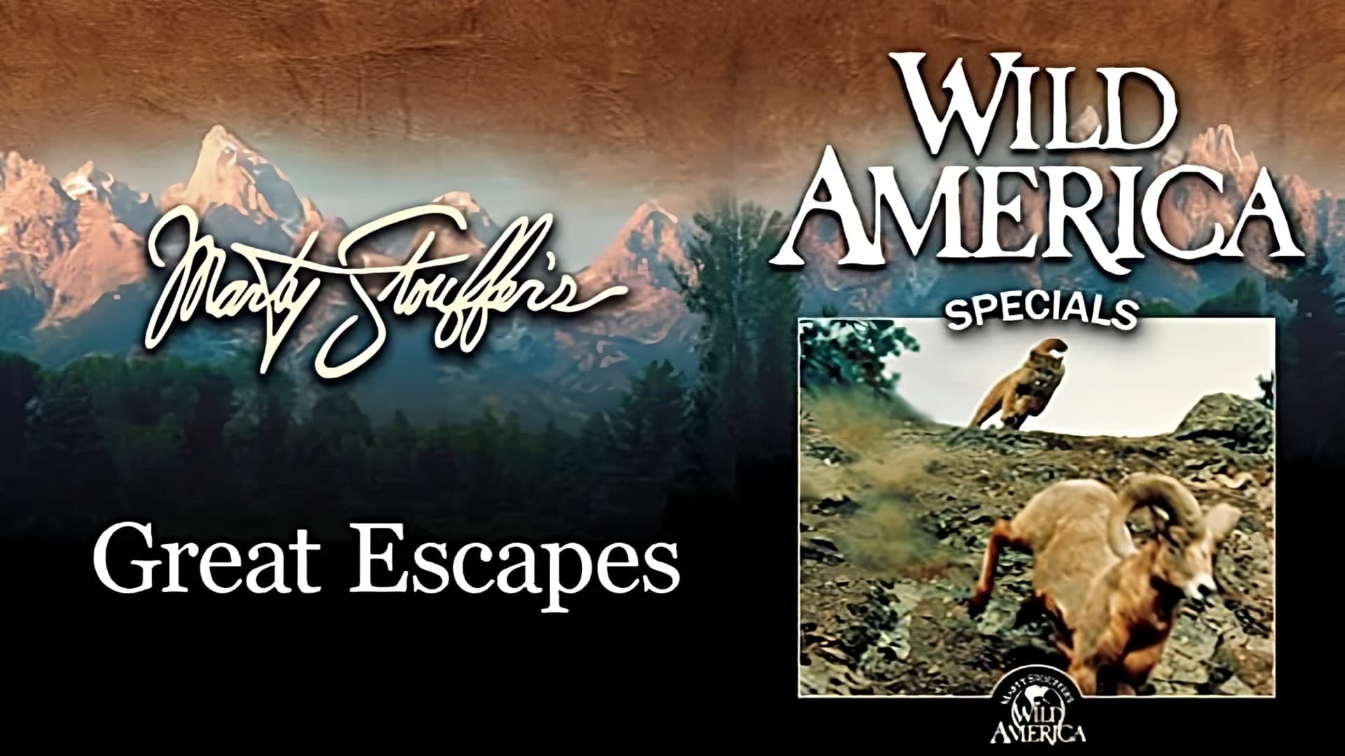 Wild America Special-Great Escapes