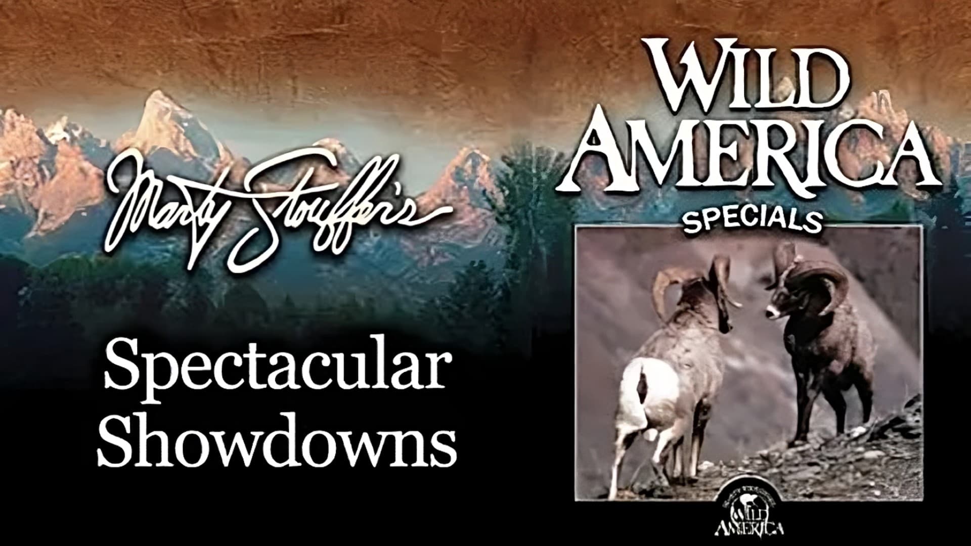 Wild America Special-Spectacular Showdowns