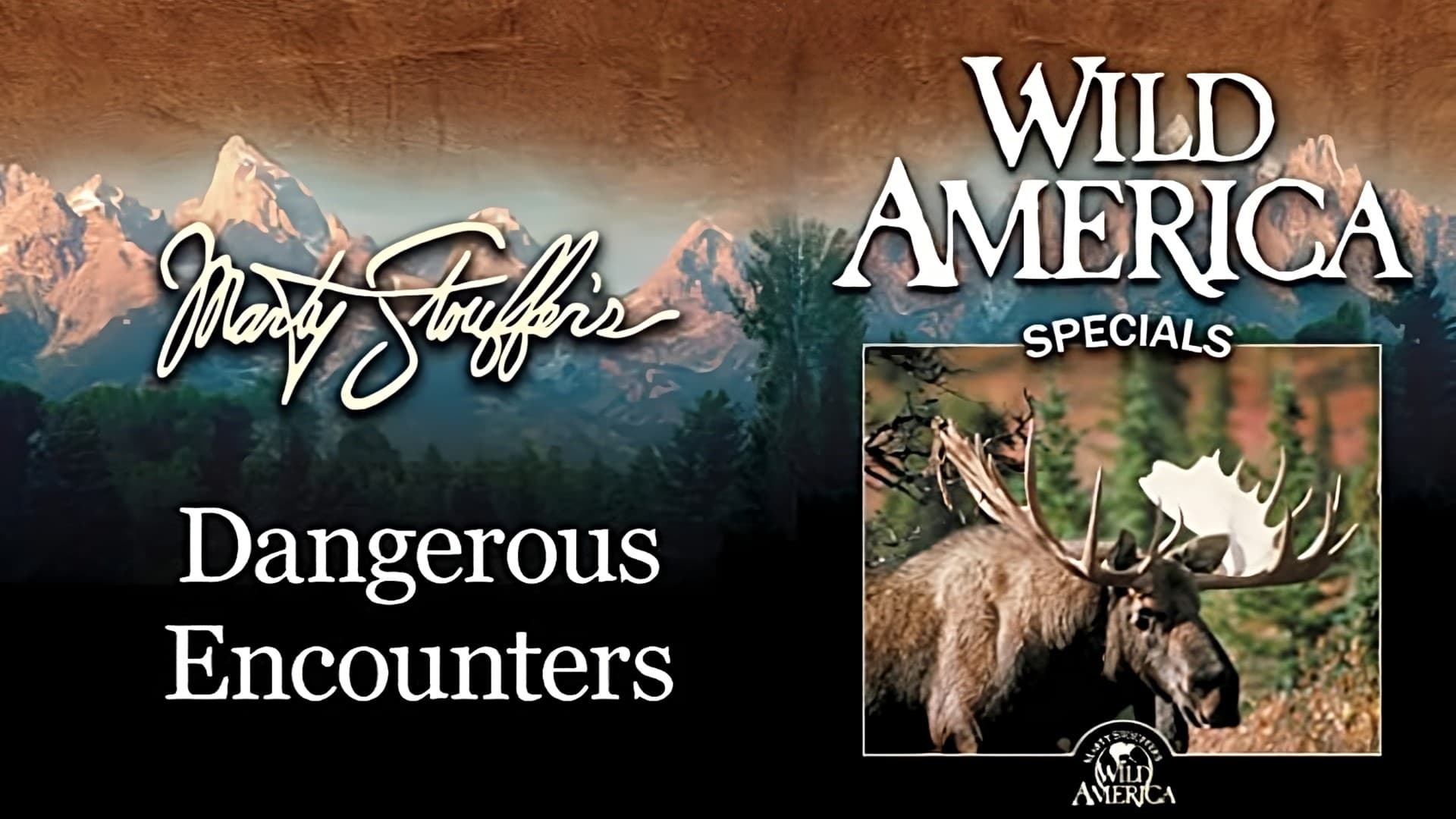 Wild America Special-Dangerous Encounters