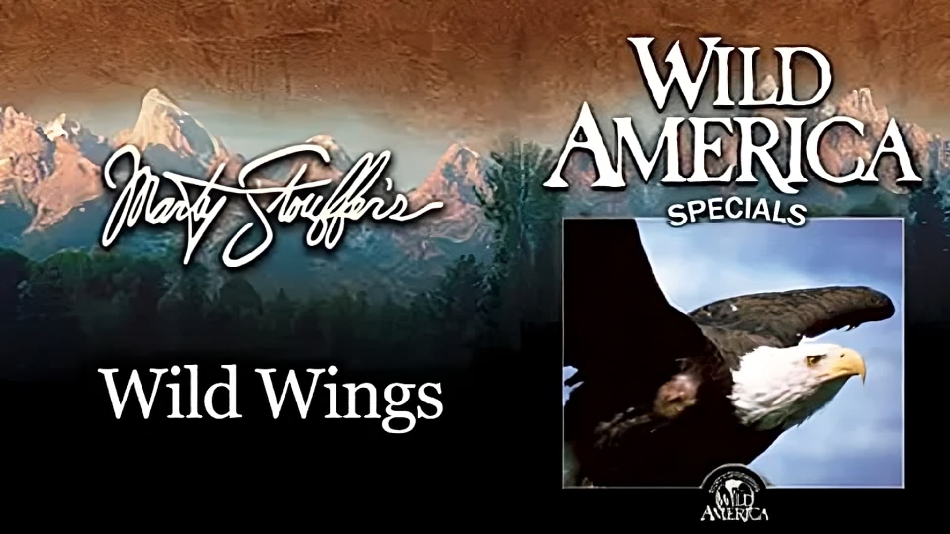 Wild America Special- Wild Wings