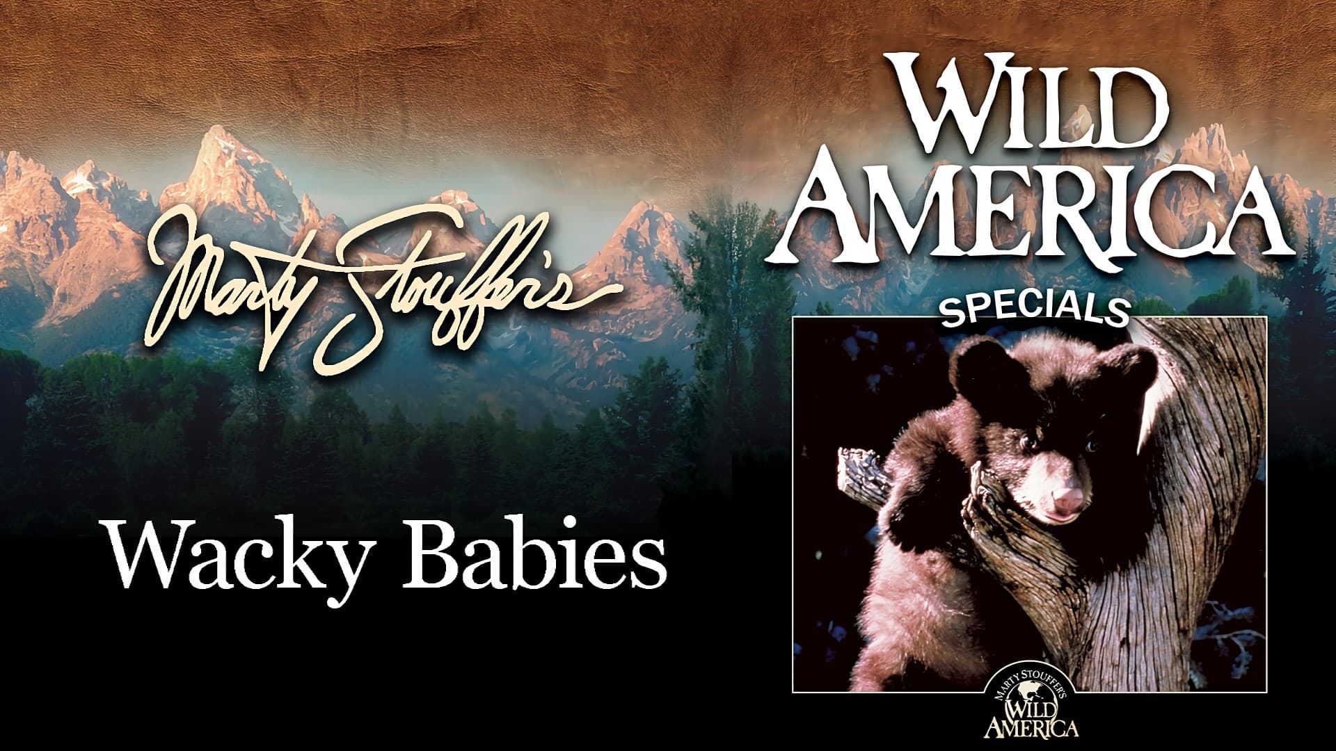 Wild America Special-Wacky Babies