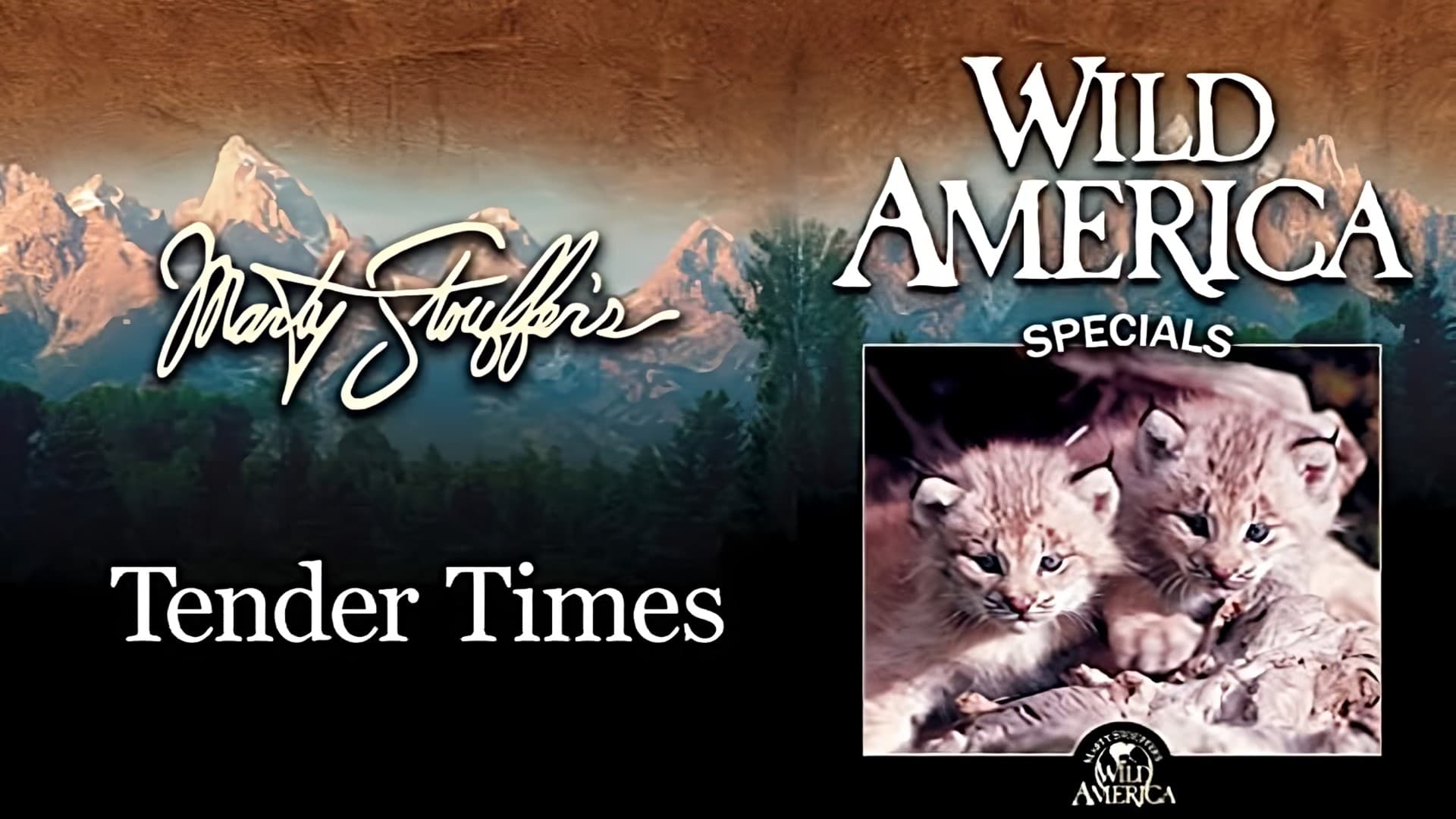 Wild America Special-Tender Times