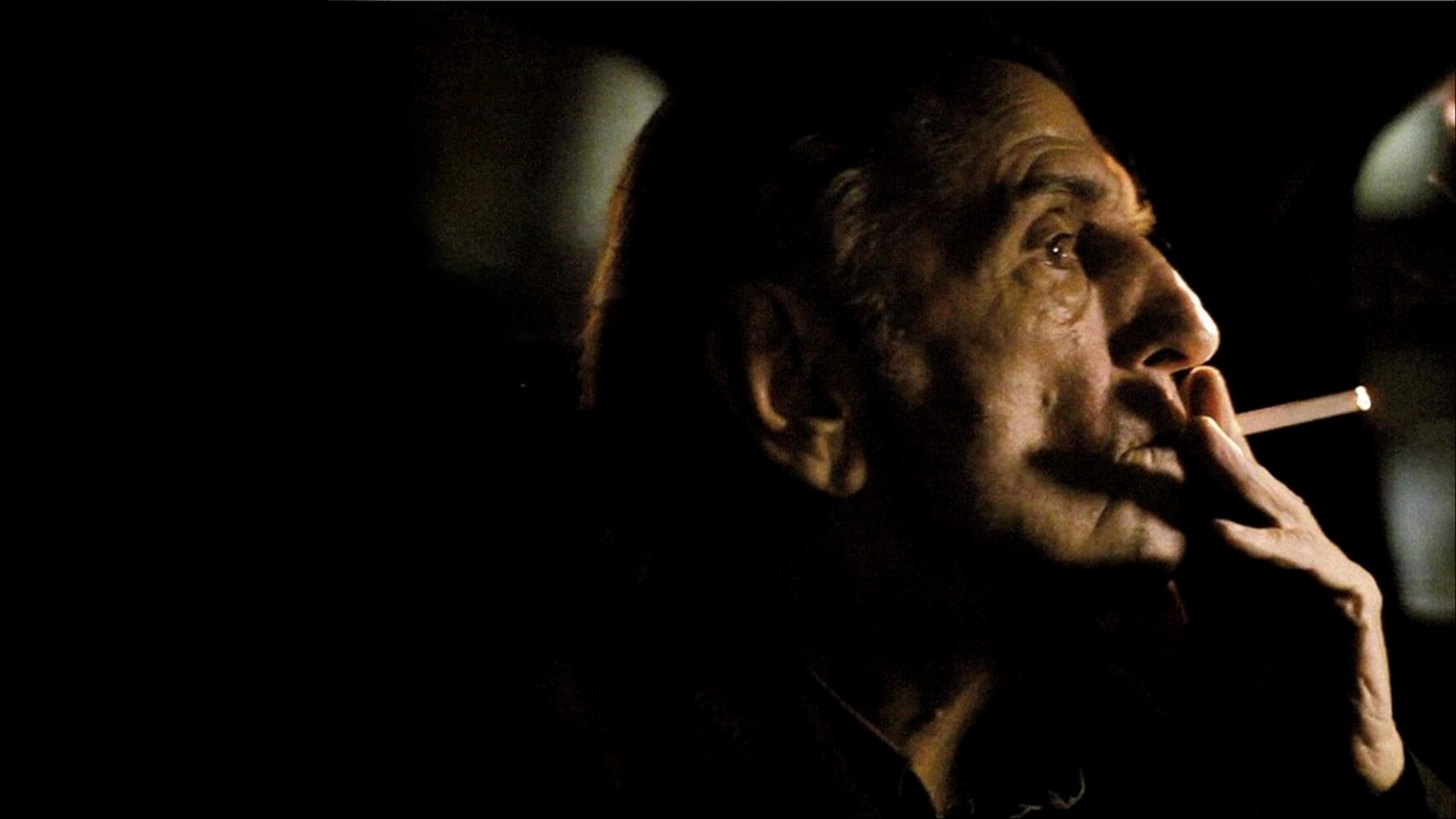 Harry Dean Stanton Partly Fiction