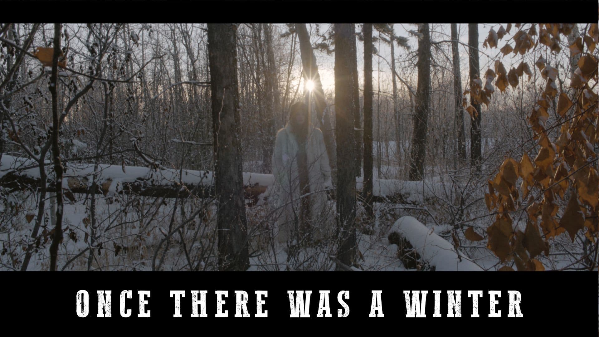 Once There Was a Winter